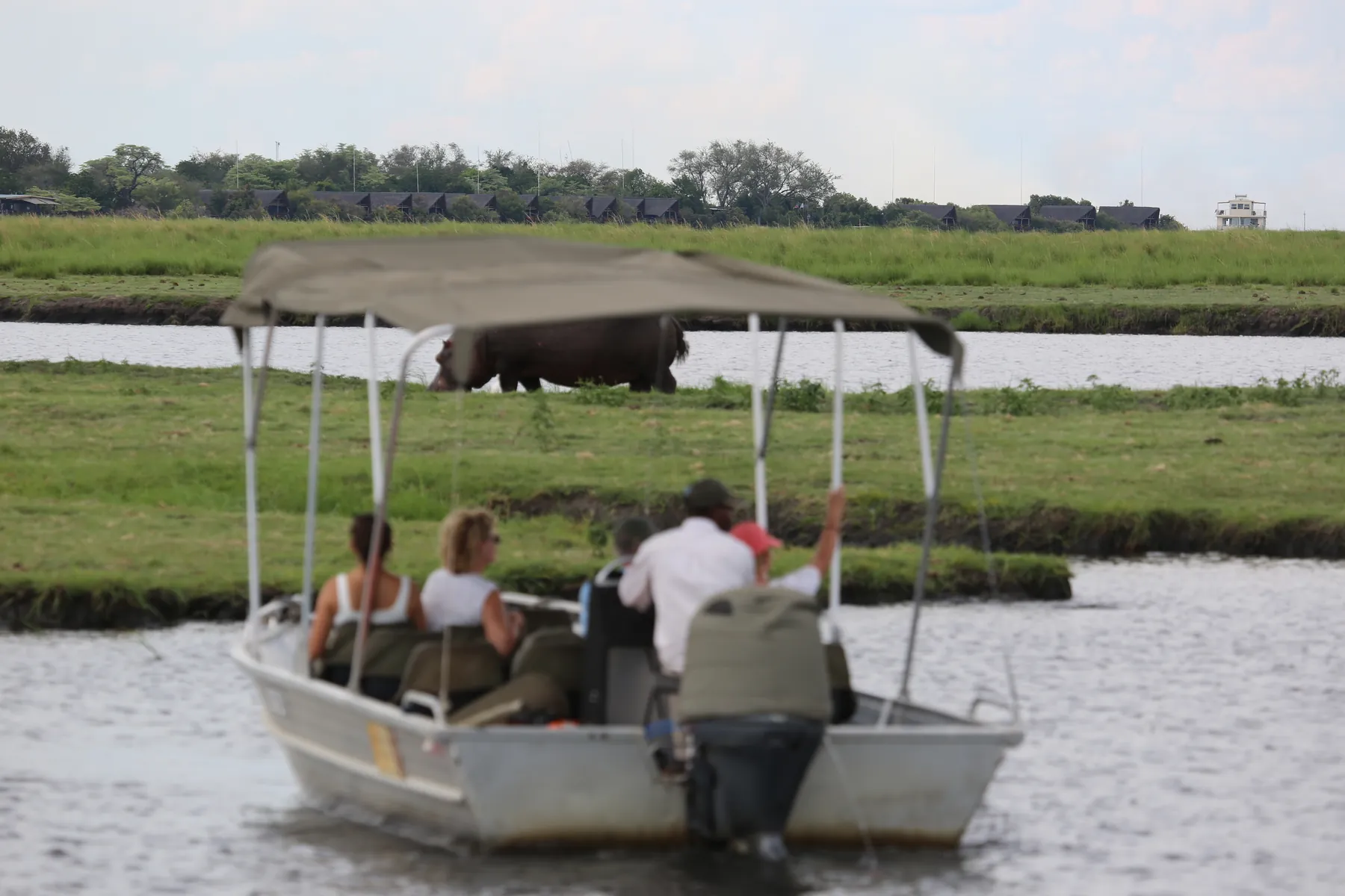 Guests of ours on a boat safari on the Chobe River
