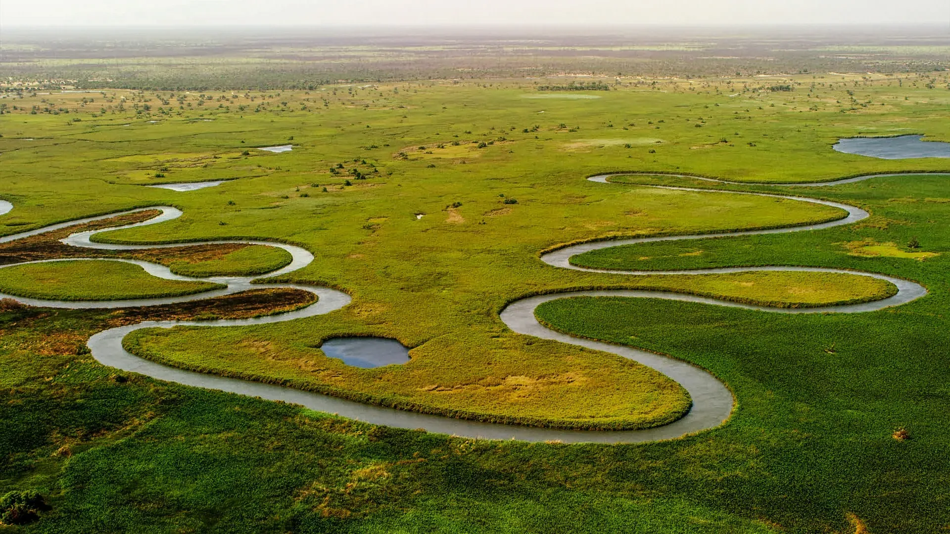 Aerial view of the winding channels of the Okavango Delta