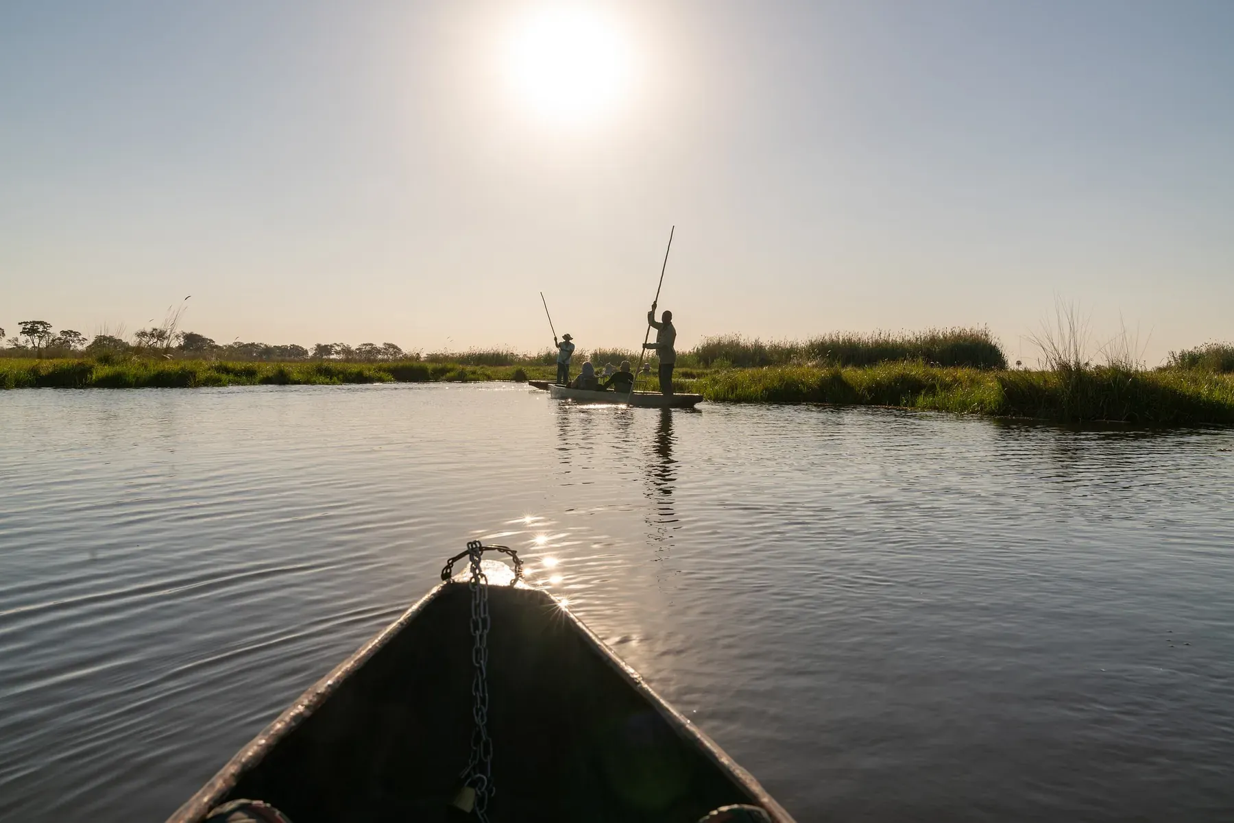 A poler standing at the stern of a mokoro at sunrise