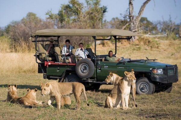 Chobe Day Trip