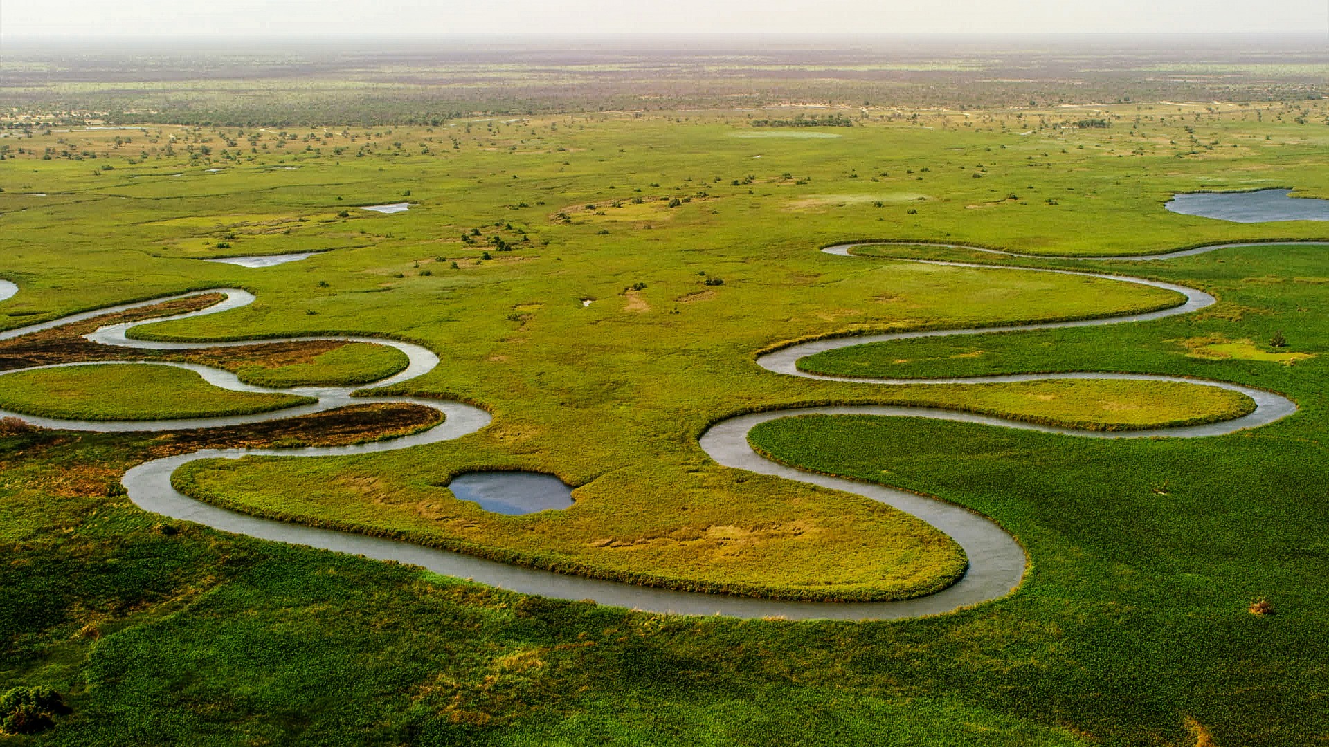 okavango-delta-5158380_1920